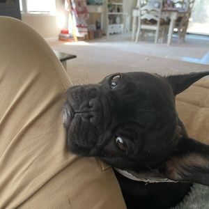 Meet your Posher, Dave